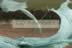Gamrie Plastics.jpg (75kb)